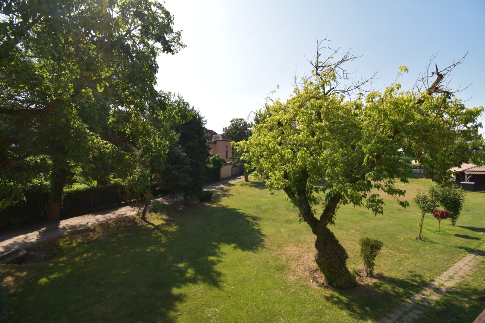 Blick in den Garten